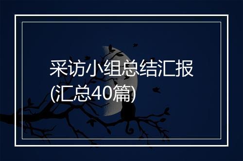 采访小组总结汇报(汇总40篇)