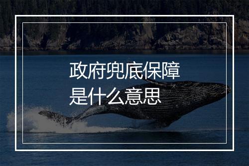 政府兜底保障是什么意思