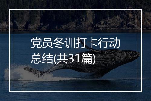 党员冬训打卡行动总结(共31篇)