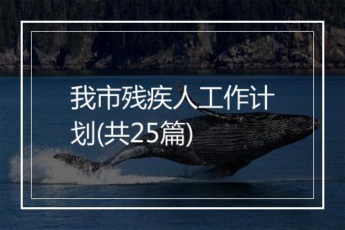 我市残疾人工作计划(共25篇)