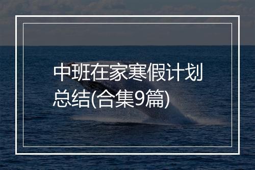 中班在家寒假计划总结(合集9篇)