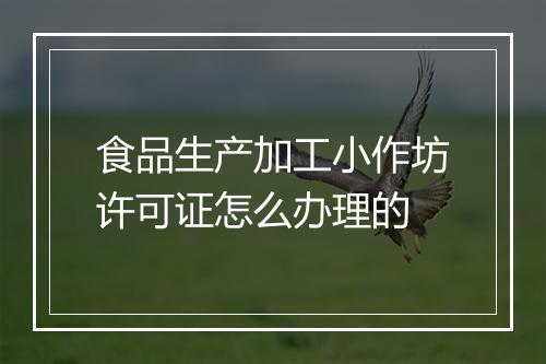 食品生产加工小作坊许可证怎么办理的
