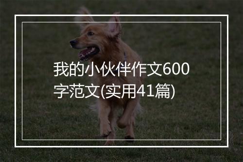 我的小伙伴作文600字范文(实用41篇)