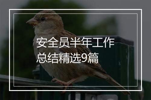 安全员半年工作总结精选9篇