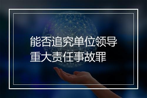 能否追究单位领导重大责任事故罪