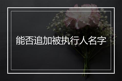 能否追加被执行人名字