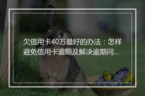 欠信用卡40万最好的办法：怎样避免信用卡逾期及解决逾期问题