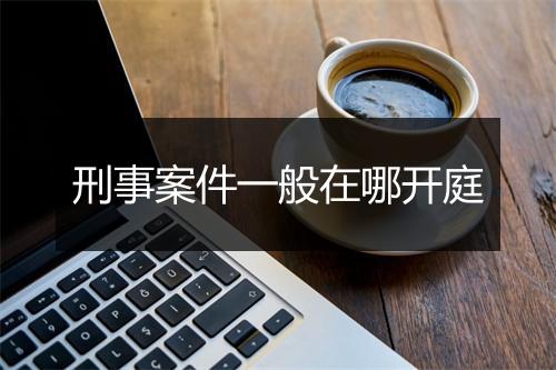 刑事案件一般在哪开庭
