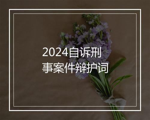 2024自诉刑事案件辩护词