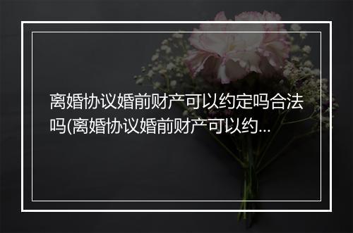 离婚协议婚前财产可以约定吗合法吗(离婚协议婚前财产可以约定吗)