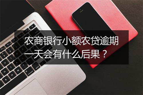 农商银行小额农贷逾期一天会有什么后果？