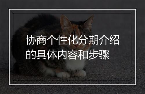 协商个性化分期介绍的具体内容和步骤