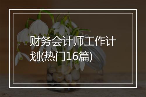 财务会计师工作计划(热门16篇)