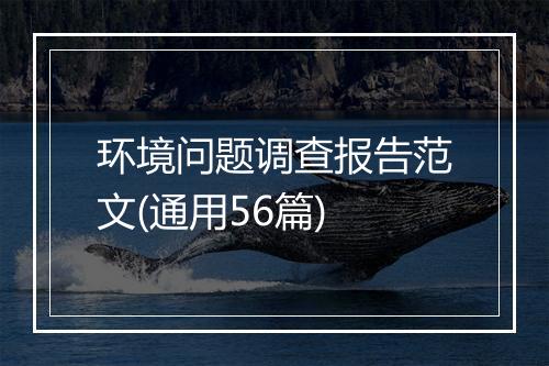 环境问题调查报告范文(通用56篇)