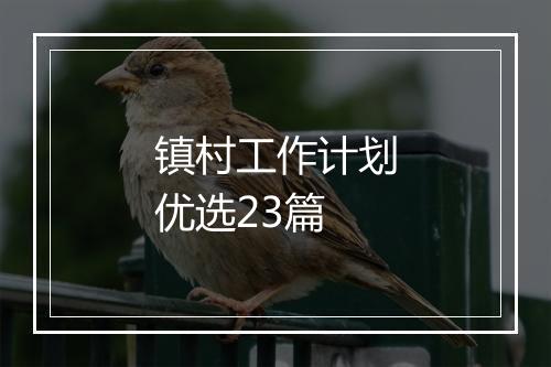 镇村工作计划优选23篇