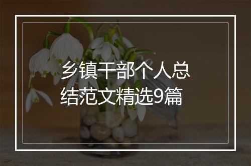 乡镇干部个人总结范文精选9篇