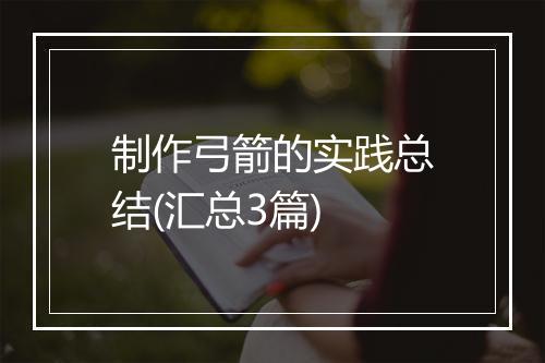 制作弓箭的实践总结(汇总3篇)