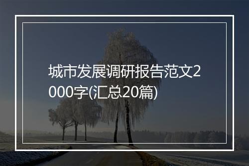 城市发展调研报告范文2000字(汇总20篇)