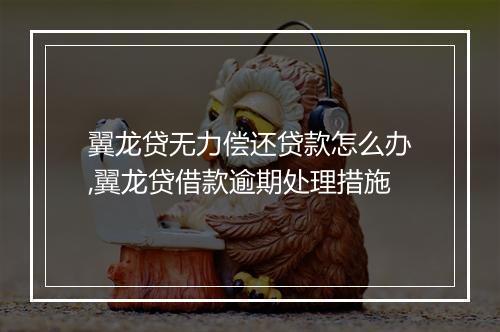 翼龙贷无力偿还贷款怎么办,翼龙贷借款逾期处理措施