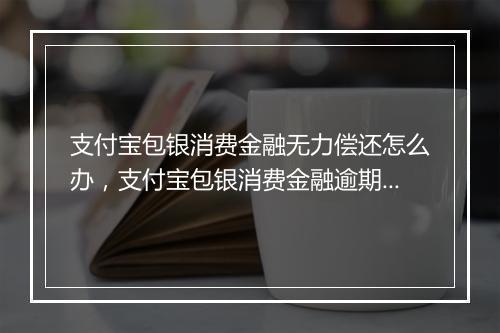 支付宝包银消费金融无力偿还怎么办，支付宝包银消费金融逾期处理流程