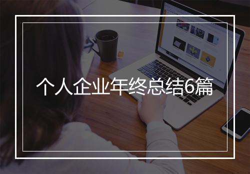 个人企业年终总结6篇