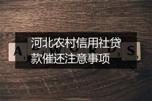 河北农村信用社贷款催还注意事项