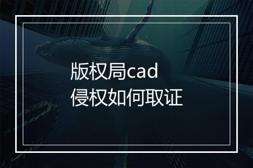 版权局cad侵权如何取证