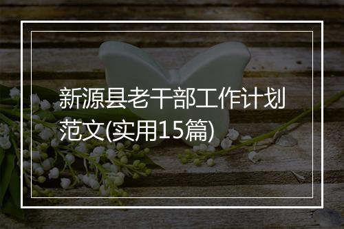 新源县老干部工作计划范文(实用15篇)