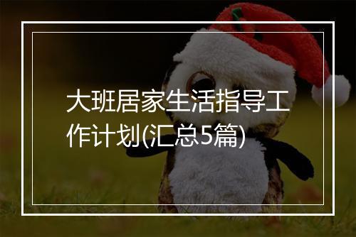 大班居家生活指导工作计划(汇总5篇)