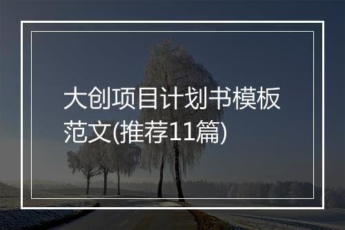 大创项目计划书模板范文(推荐11篇)