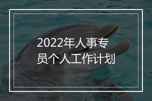 2022年人事专员个人工作计划