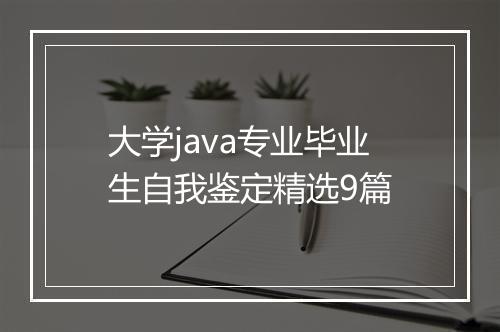 大学java专业毕业生自我鉴定精选9篇