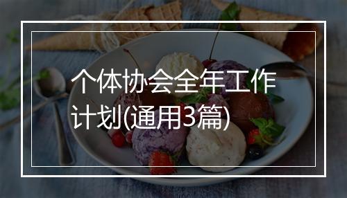 个体协会全年工作计划(通用3篇)