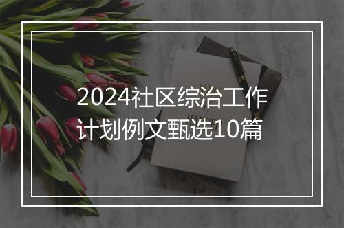 2024社区综治工作计划例文甄选10篇