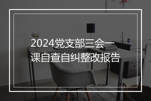 2024党支部三会一课自查自纠整改报告