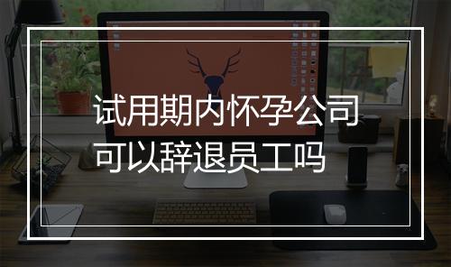 试用期内怀孕公司可以辞退员工吗