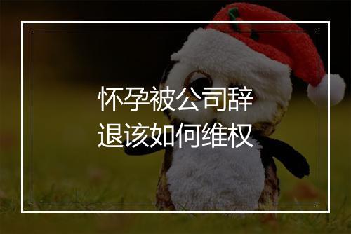 怀孕被公司辞退该如何维权