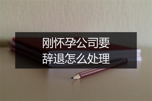 刚怀孕公司要辞退怎么处理