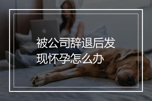 被公司辞退后发现怀孕怎么办