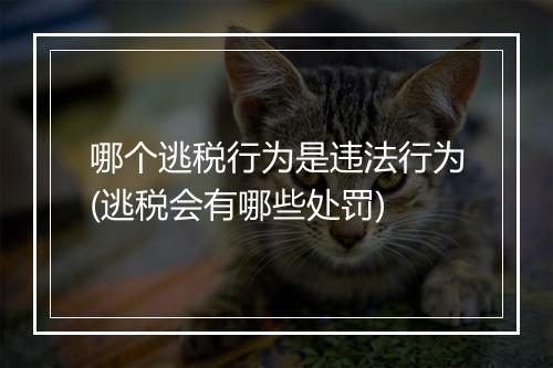 哪个逃税行为是违法行为(逃税会有哪些处罚)