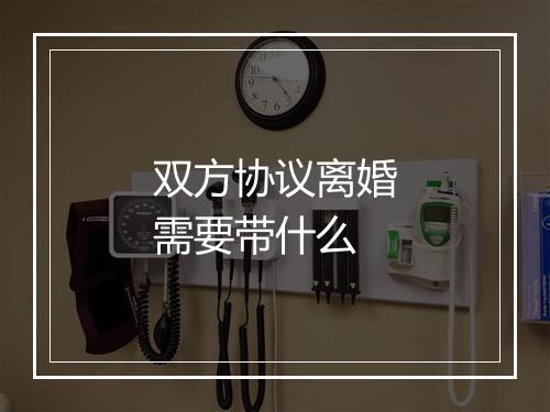 双方协议离婚需要带什么