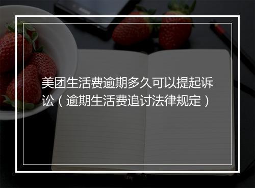 美团生活费逾期多久可以提起诉讼（逾期生活费追讨法律规定）