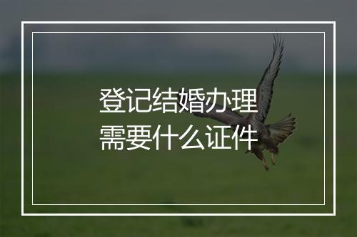 登记结婚办理需要什么证件