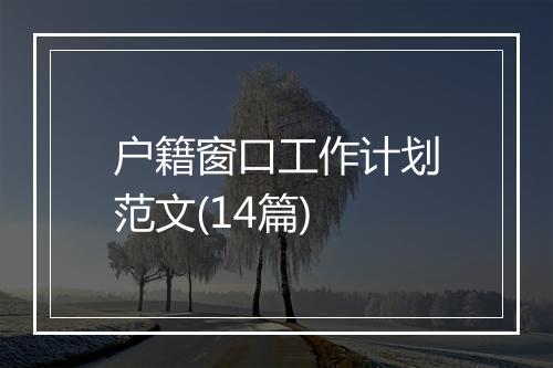 户籍窗口工作计划范文(14篇)