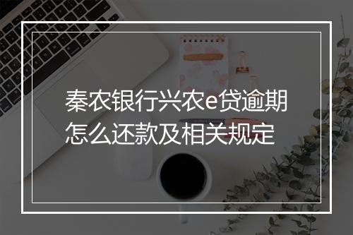 秦农银行兴农e贷逾期怎么还款及相关规定