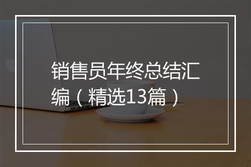 销售员年终总结汇编（精选13篇）