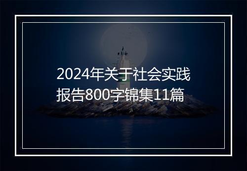 2024年关于社会实践报告800字锦集11篇