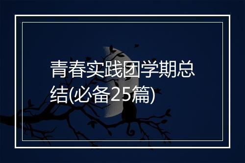 青春实践团学期总结(必备25篇)