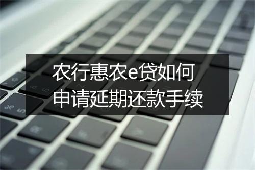 农行惠农e贷如何申请延期还款手续