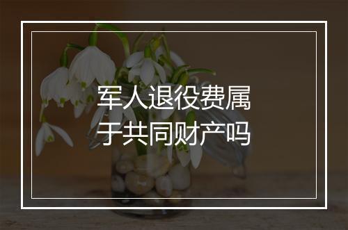 军人退役费属于共同财产吗